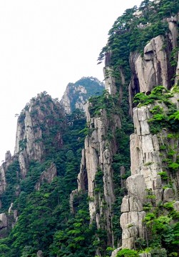 黃山風光 黃山棧道 黃山松