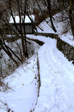 小徑 雪景 積雪 小路 曲徑