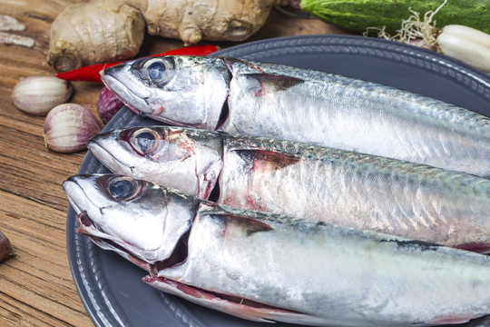 鯖魚 海鮮
