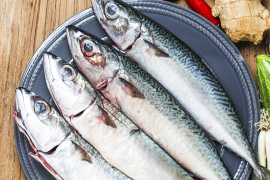 鯖魚