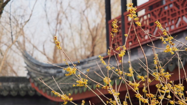 蘇州同里古鎮(zhèn)