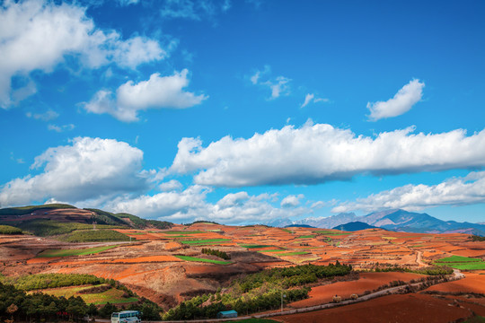 東川紅土地 東川 云南