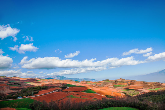 東川紅土地 東川 云南