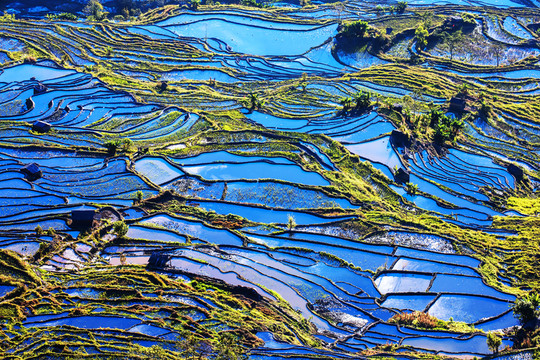 元陽梯田