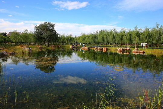 奧林匹克公園