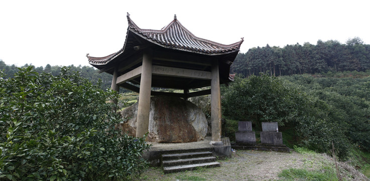 北苑茶 摩崖石刻 御茶園 建甌
