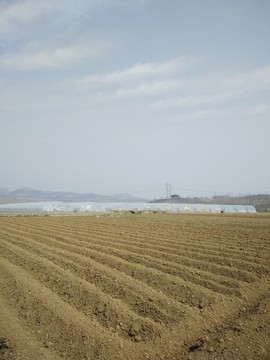 農(nóng)耕田
