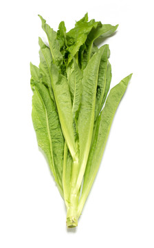 油麥菜