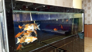 魚群