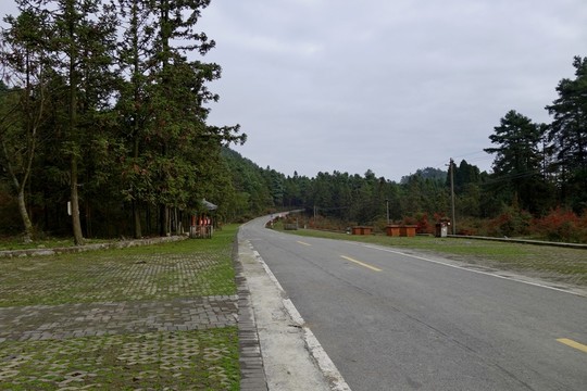 千野草場(chǎng)