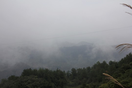 千野草場