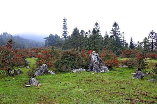 千野草場