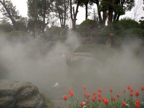 美景 花草 云霧 仙境