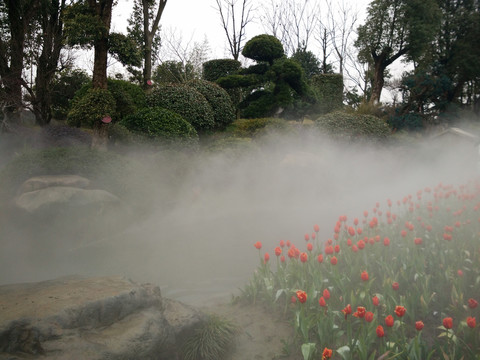 美景 花草 云霧 仙境