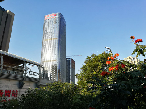 深圳城市風(fēng)光