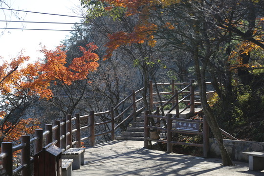 休閑步道