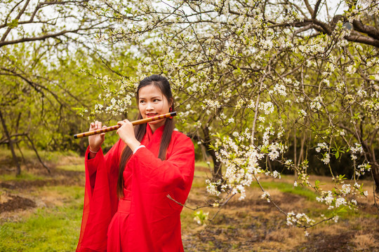李花樹(shù)下吹笛子的古裝少女
