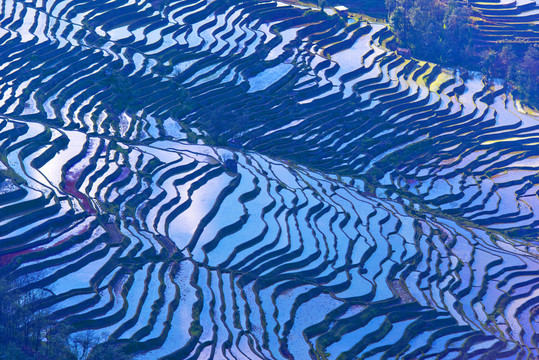 元陽梯田