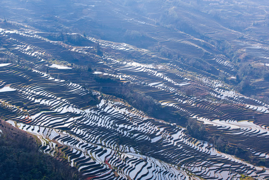 元陽梯田