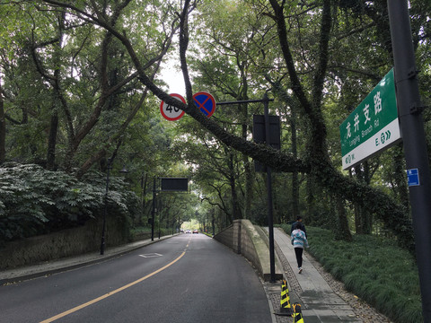 龍井支路