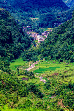 南崗排瑤寨沿途風(fēng)景