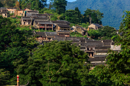 南崗排瑤寨沿途風(fēng)景