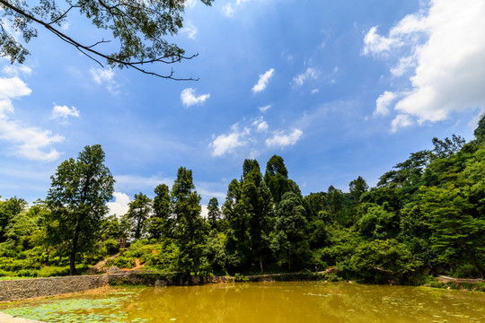 三排瑤寨自然風(fēng)景
