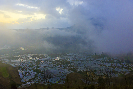 元陽(yáng)多依樹(shù)梯田日出