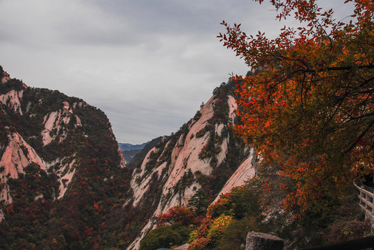 秋季華山