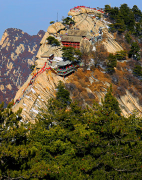 問鼎 高格