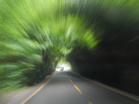 放射狀森林公路