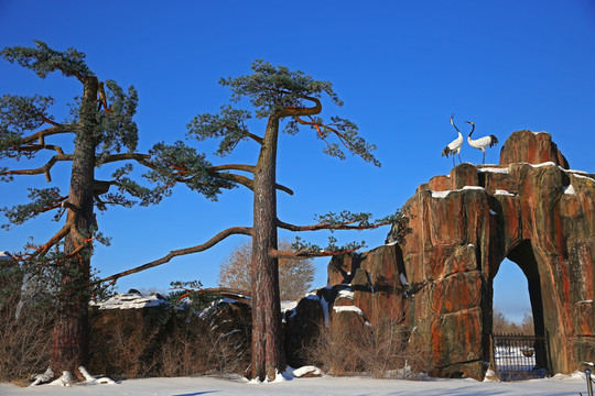 假山假樹景觀