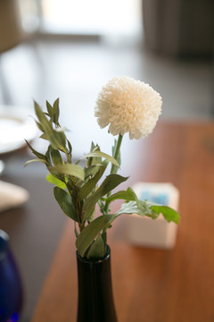 桌上小花
