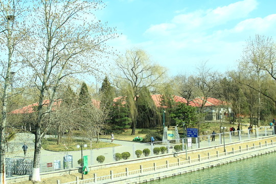 公園