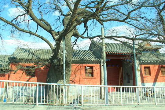 北京藝術(shù)博物館