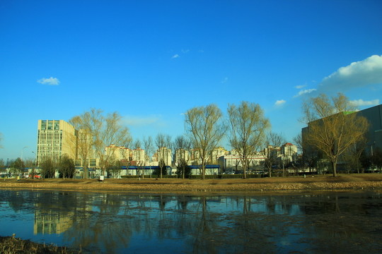 奧林匹克公園