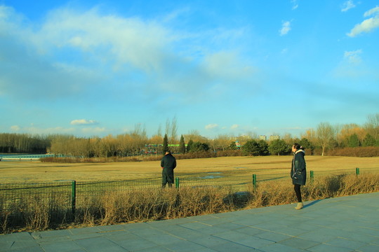 奧林匹克公園