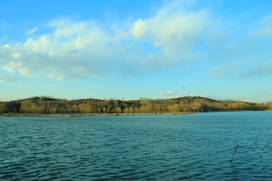 奧林匹克公園濕地
