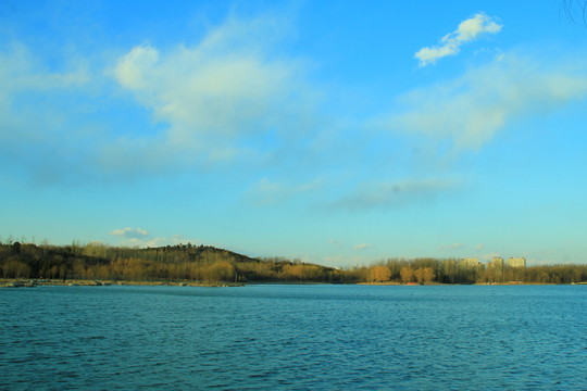 奧林匹克公園濕地