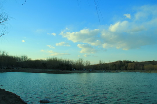 奧林匹克公園