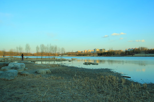 奧林匹克公園濕地