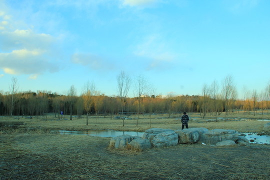 奧林匹克公園濕地