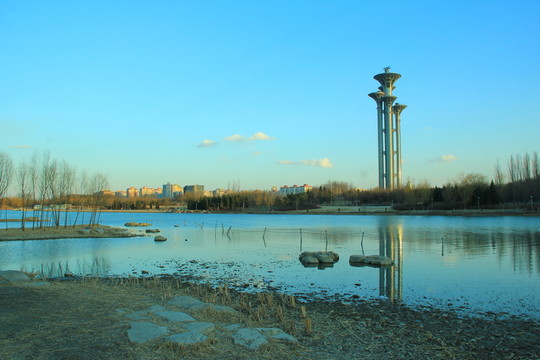 奧林匹克公園濕地