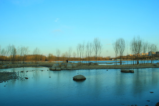 奧林匹克公園濕地