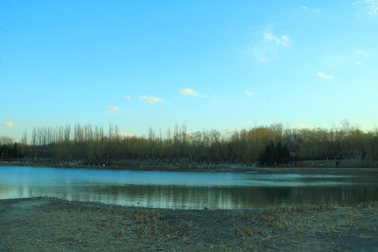 奧林匹克公園濕地