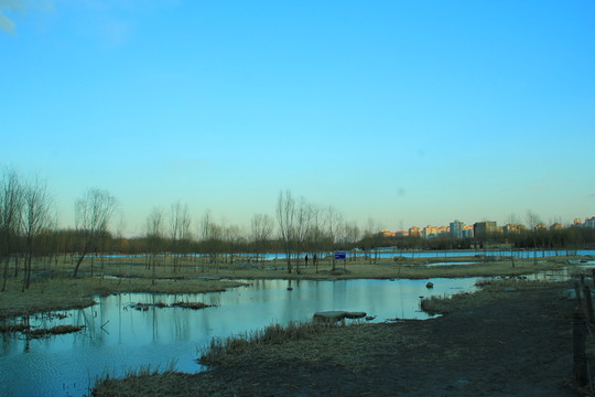 人工湖