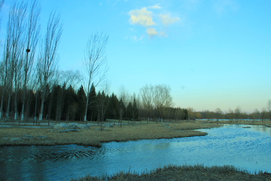 奧林匹克公園濕地