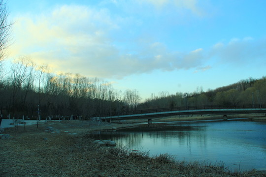 奧林匹克公園濕地
