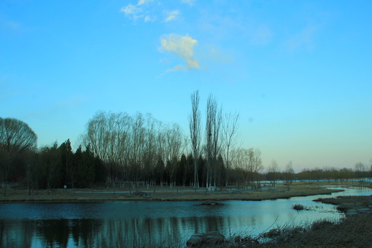 奧林匹克公園濕地