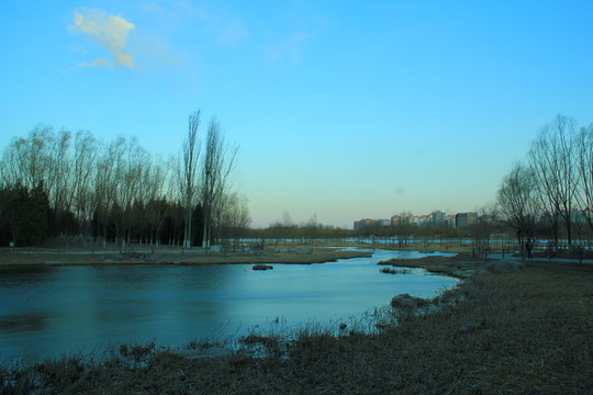 奧林匹克公園濕地